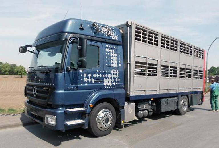 Перевезти крупный рогатый скота автотранспортом из Кесовой Горы в Пензенскую область